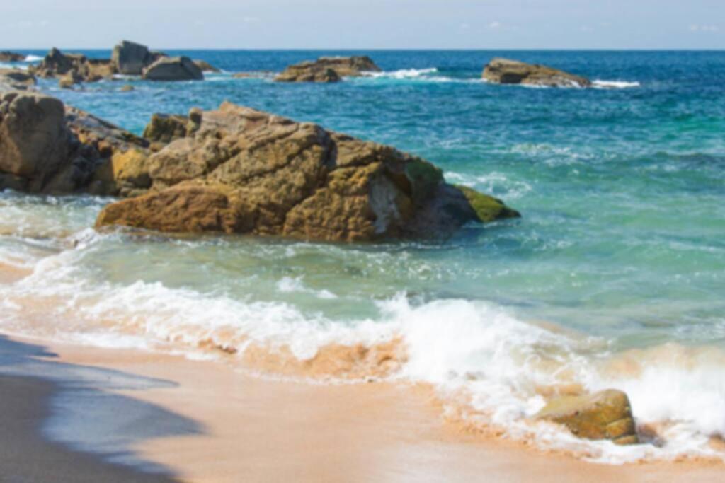 Le Petit Cote Ouest - Appt Dans Les Pins Pres De La Plage Les Sables-dʼOlonne Εξωτερικό φωτογραφία