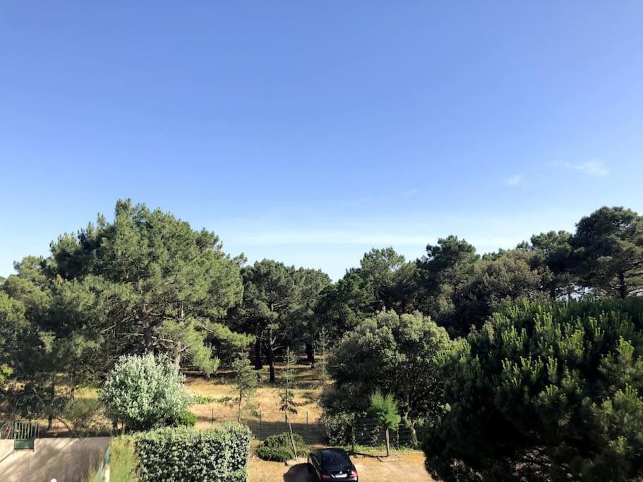 Le Petit Cote Ouest - Appt Dans Les Pins Pres De La Plage Les Sables-dʼOlonne Εξωτερικό φωτογραφία