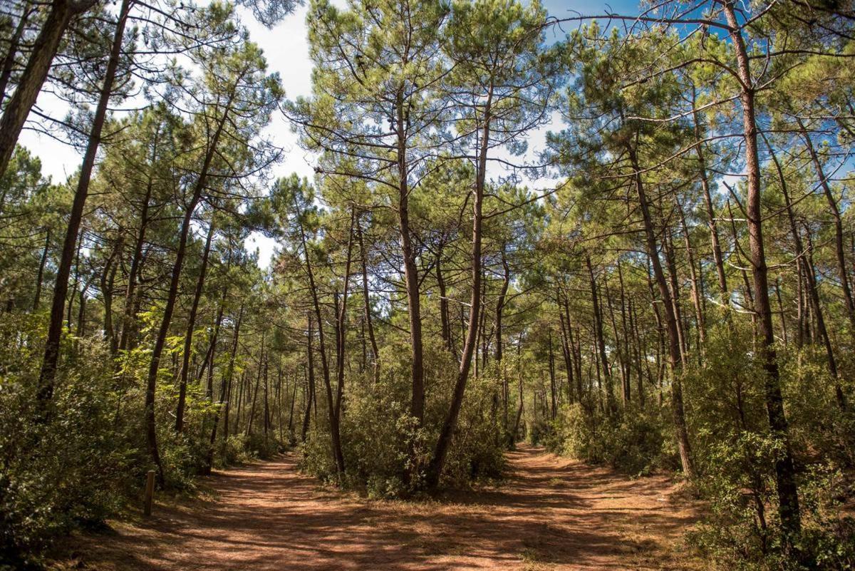 Le Petit Cote Ouest - Appt Dans Les Pins Pres De La Plage Les Sables-dʼOlonne Εξωτερικό φωτογραφία